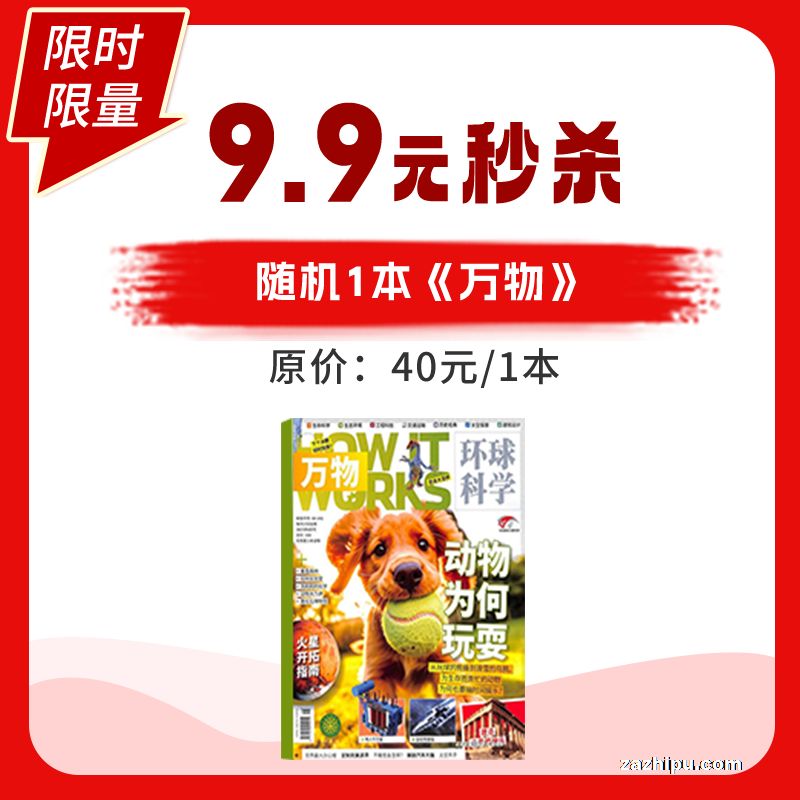 万物2024年随机1本