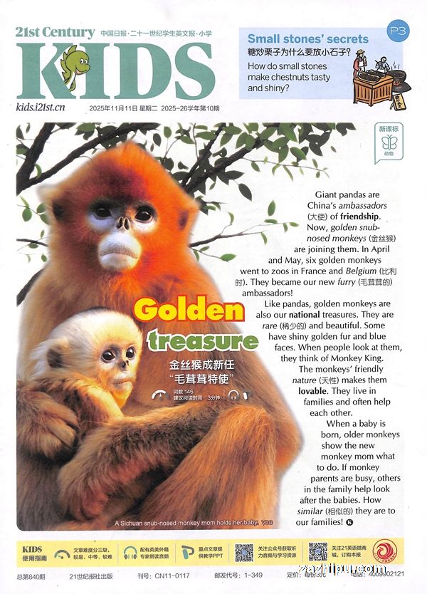 ¼20253𶩶ʮһѧӢıСѧ1깲40ڣ־ģˮ̶