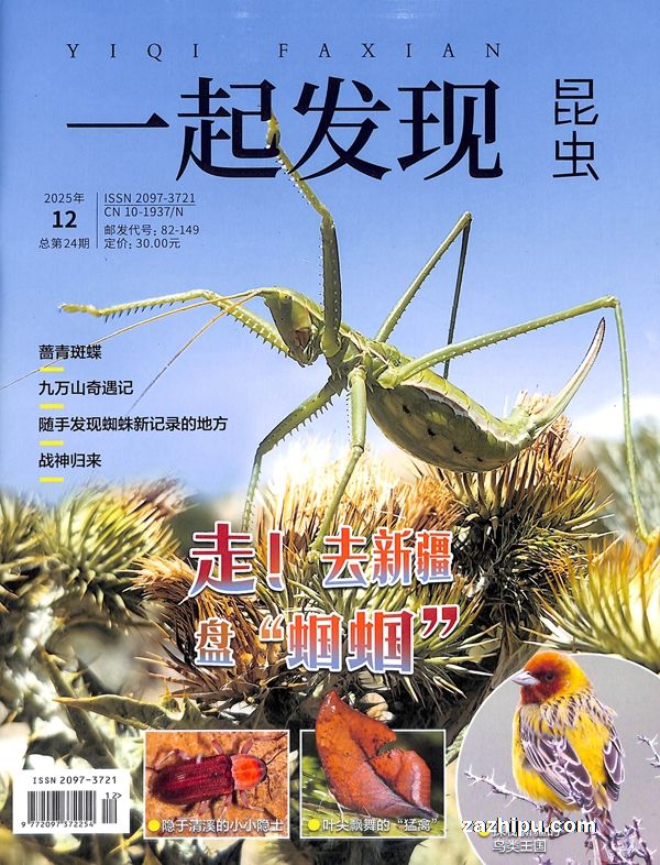 一起发现昆虫(自然百科)扫码免费看视频(1年共12期)(杂志订阅)