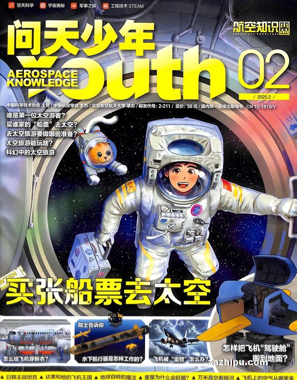 20252
