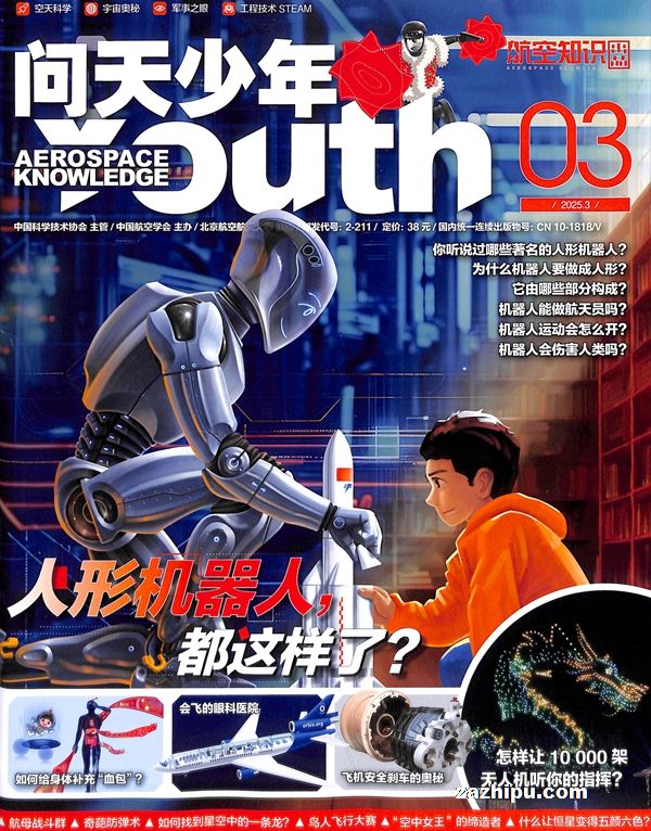 20253