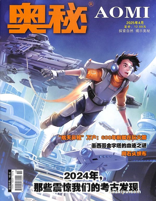 20254