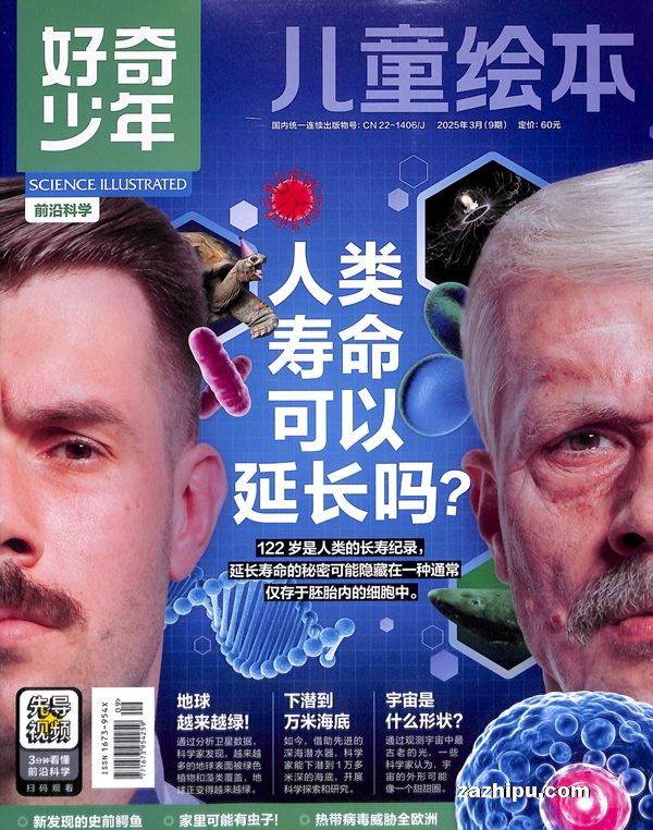 20253