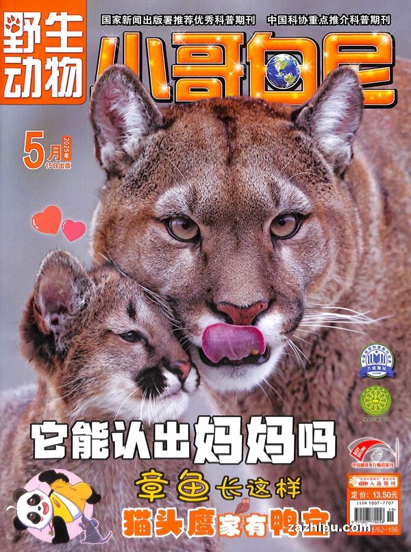 СҰﻭ(1깲12)־ģ