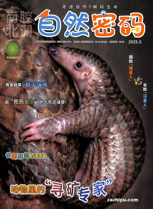 Ȼ루1ȹ3ڣ־ģ
