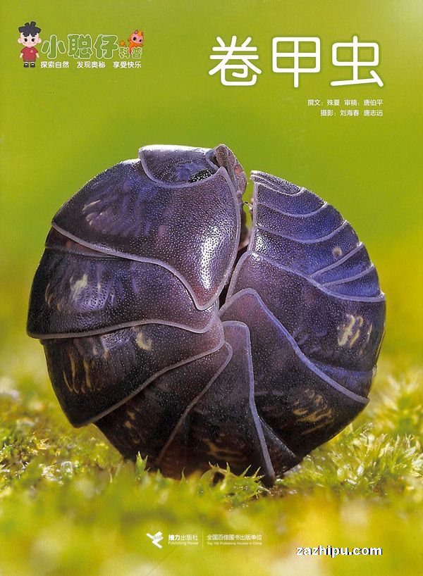 СȻհ20256