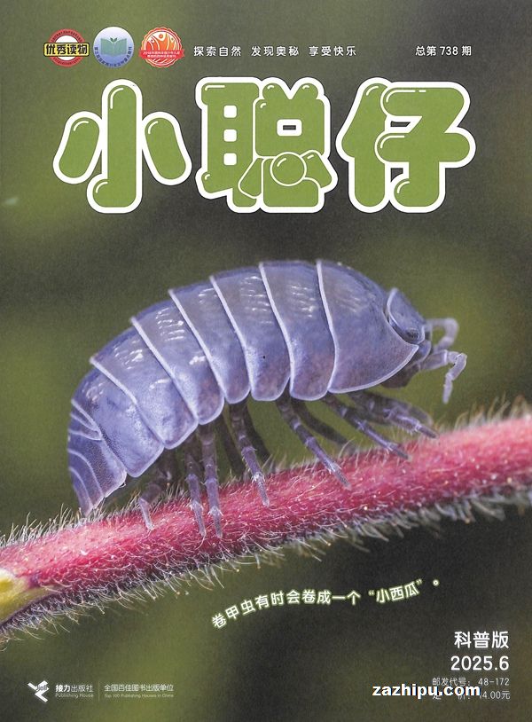 СȻհ棨깲6ڣ־ģ