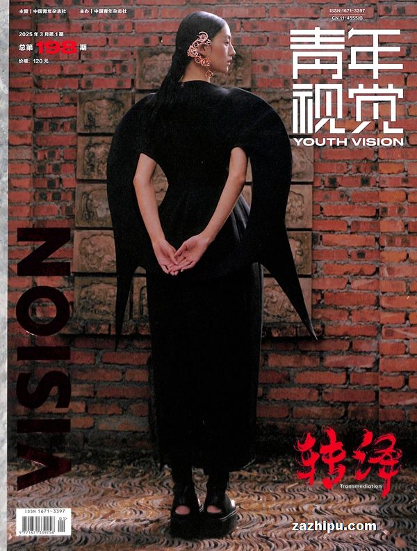 Ӿvision