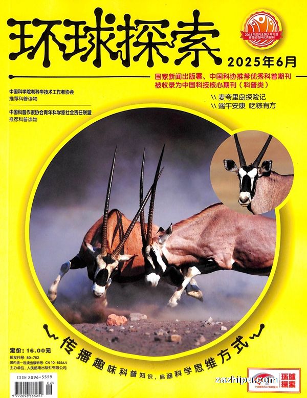̽1깲12ڣ