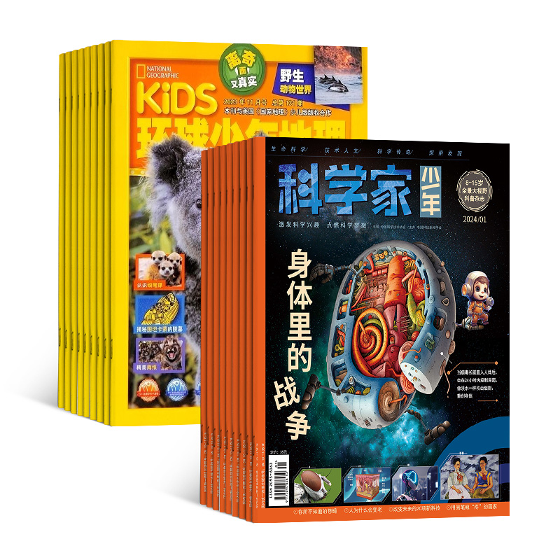 ѧ+KiDS1깲24ڣ־ģ+AI֪ʶ