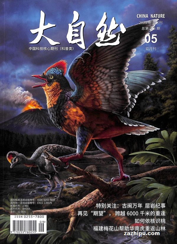 大自然(1年共6期)(杂志订阅)