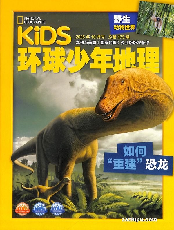 KiDSҵٶȨ1깲12ڣ־ģ