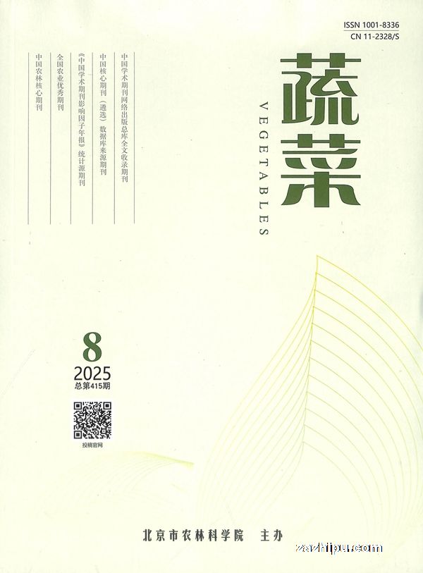 蔬菜(1年共12期)