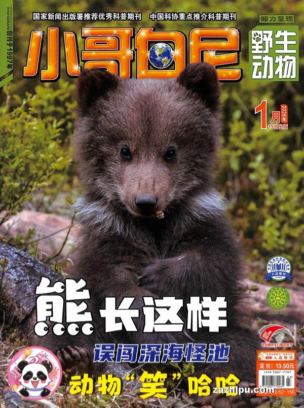 2022��11����Ұ�����С����ᣩ�����깲6�ڣ�����־���ģ�����Z