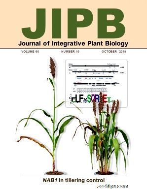 ֲѧӢİ棩JournalofIntegrativePlantBiology1깲12ڣ